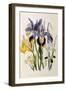 Iris-Jane W. Loudon-Framed Giclee Print