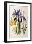 Iris-Jane W. Loudon-Framed Giclee Print