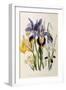 Iris-Jane W. Loudon-Framed Giclee Print