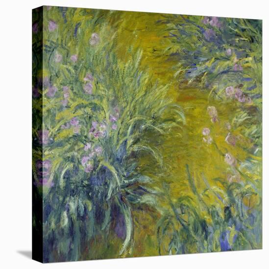 Iris-Claude Monet-Stretched Canvas