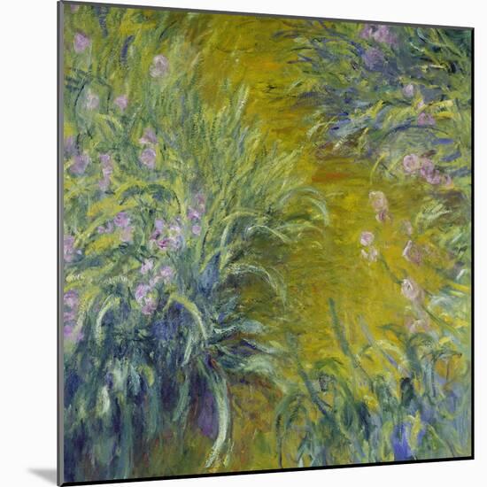 Iris-Claude Monet-Mounted Giclee Print