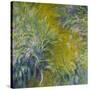 Iris-Claude Monet-Stretched Canvas