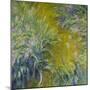 Iris-Claude Monet-Mounted Giclee Print