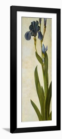 Iris-Albrecht Dürer-Framed Giclee Print