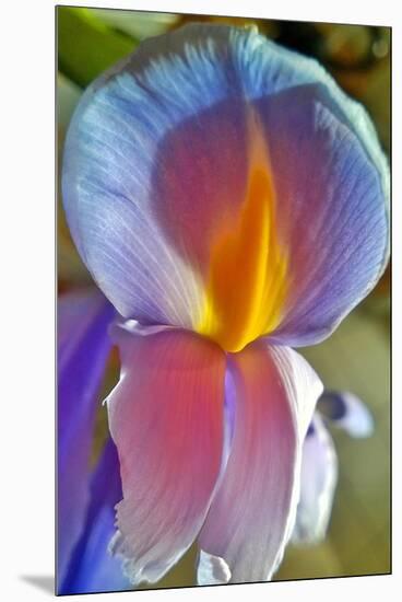 Iris-Charles Bowman-Mounted Premium Photographic Print