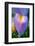 Iris-Charles Bowman-Framed Photographic Print