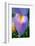 Iris-Charles Bowman-Framed Photographic Print