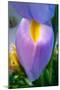 Iris-Charles Bowman-Mounted Photographic Print