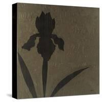 Iris-Robert Charon-Stretched Canvas