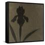 Iris-Robert Charon-Framed Stretched Canvas