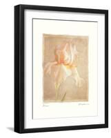 Iris-Amy Melious-Framed Art Print