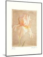 Iris-Amy Melious-Mounted Art Print