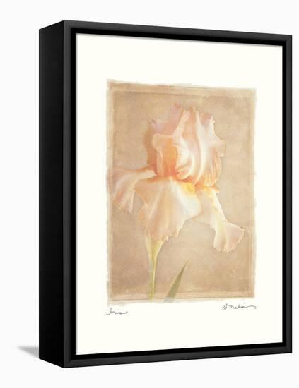 Iris-Amy Melious-Framed Stretched Canvas
