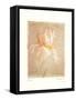 Iris-Amy Melious-Framed Stretched Canvas