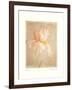 Iris-Amy Melious-Framed Art Print