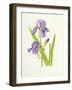 Iris-Elizabeth Rice-Framed Premium Giclee Print