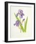 Iris-Elizabeth Rice-Framed Premium Giclee Print