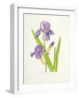 Iris-Elizabeth Rice-Framed Premium Giclee Print