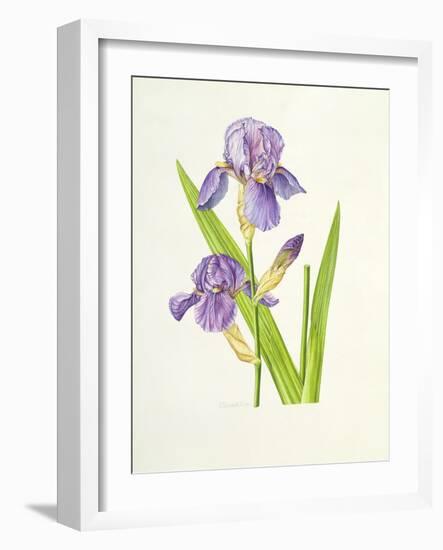 Iris-Elizabeth Rice-Framed Premium Giclee Print