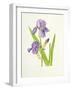 Iris-Elizabeth Rice-Framed Giclee Print