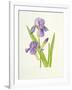 Iris-Elizabeth Rice-Framed Giclee Print