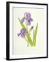 Iris-Elizabeth Rice-Framed Giclee Print