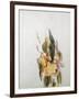 Iris-Thomas Jones Barker-Framed Giclee Print