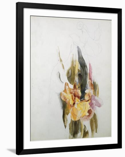 Iris-Thomas Jones Barker-Framed Giclee Print