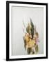 Iris-Thomas Jones Barker-Framed Giclee Print