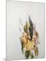 Iris-Thomas Jones Barker-Mounted Giclee Print