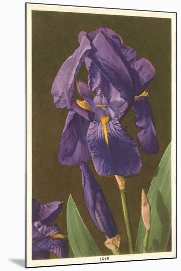 Iris-null-Mounted Art Print