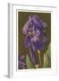 Iris-null-Framed Art Print