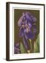 Iris-null-Framed Art Print