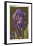 Iris-null-Framed Art Print