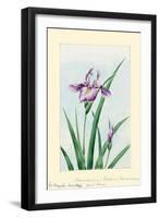 Iris-Megata Morikaga-Framed Art Print