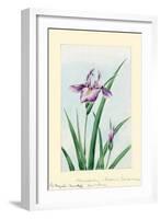 Iris-Megata Morikaga-Framed Art Print