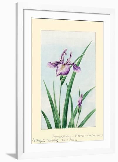 Iris-Megata Morikaga-Framed Art Print