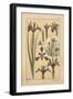 Iris-null-Framed Giclee Print