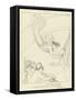 Iris-John Flaxman-Framed Stretched Canvas