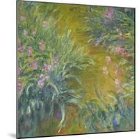 Iris-Claude Monet-Mounted Giclee Print