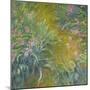 Iris-Claude Monet-Mounted Giclee Print