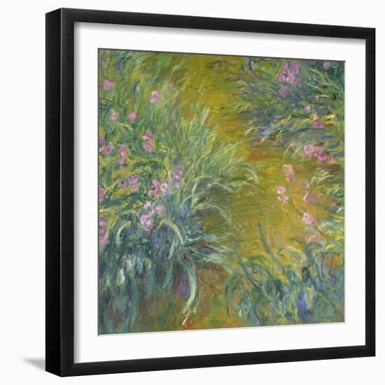 Iris-Claude Monet-Framed Premium Giclee Print