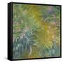 Iris-Claude Monet-Framed Stretched Canvas