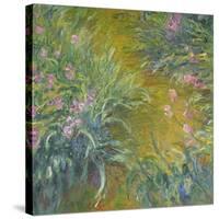 Iris-Claude Monet-Stretched Canvas