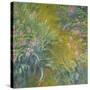 Iris-Claude Monet-Stretched Canvas