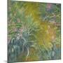 Iris-Claude Monet-Mounted Giclee Print