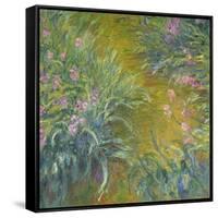 Iris-Claude Monet-Framed Stretched Canvas