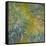 Iris-Claude Monet-Framed Stretched Canvas