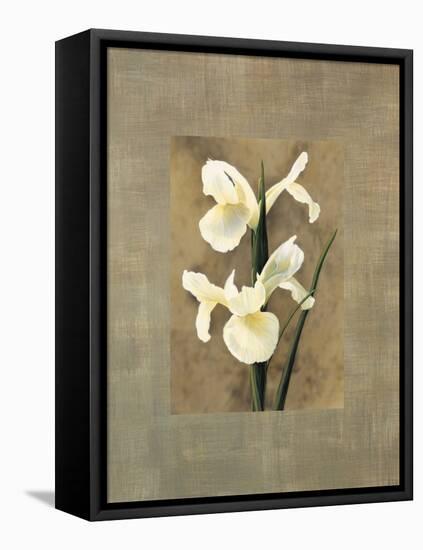 Iris-Andrea Trivelli-Framed Stretched Canvas