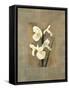Iris-Andrea Trivelli-Framed Stretched Canvas
